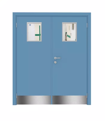 Дверь Dionysus  двустворчатая RAL 5024 с остеклением №3 с отбойной пластиной на уровне ног