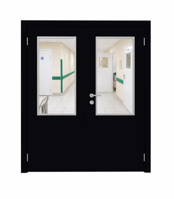 Дверь Dionysus  двустворчатая RAL 9005 с остеклением №7