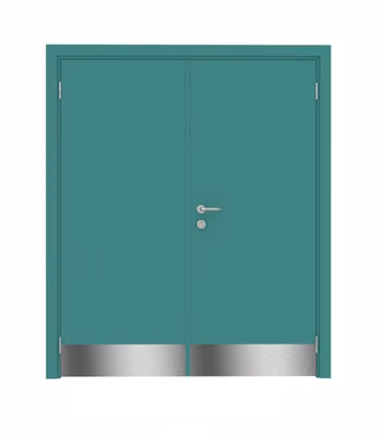 Дверь Dionysus  двустворчатая RAL 6033 с отбойной пластиной на уровне ног